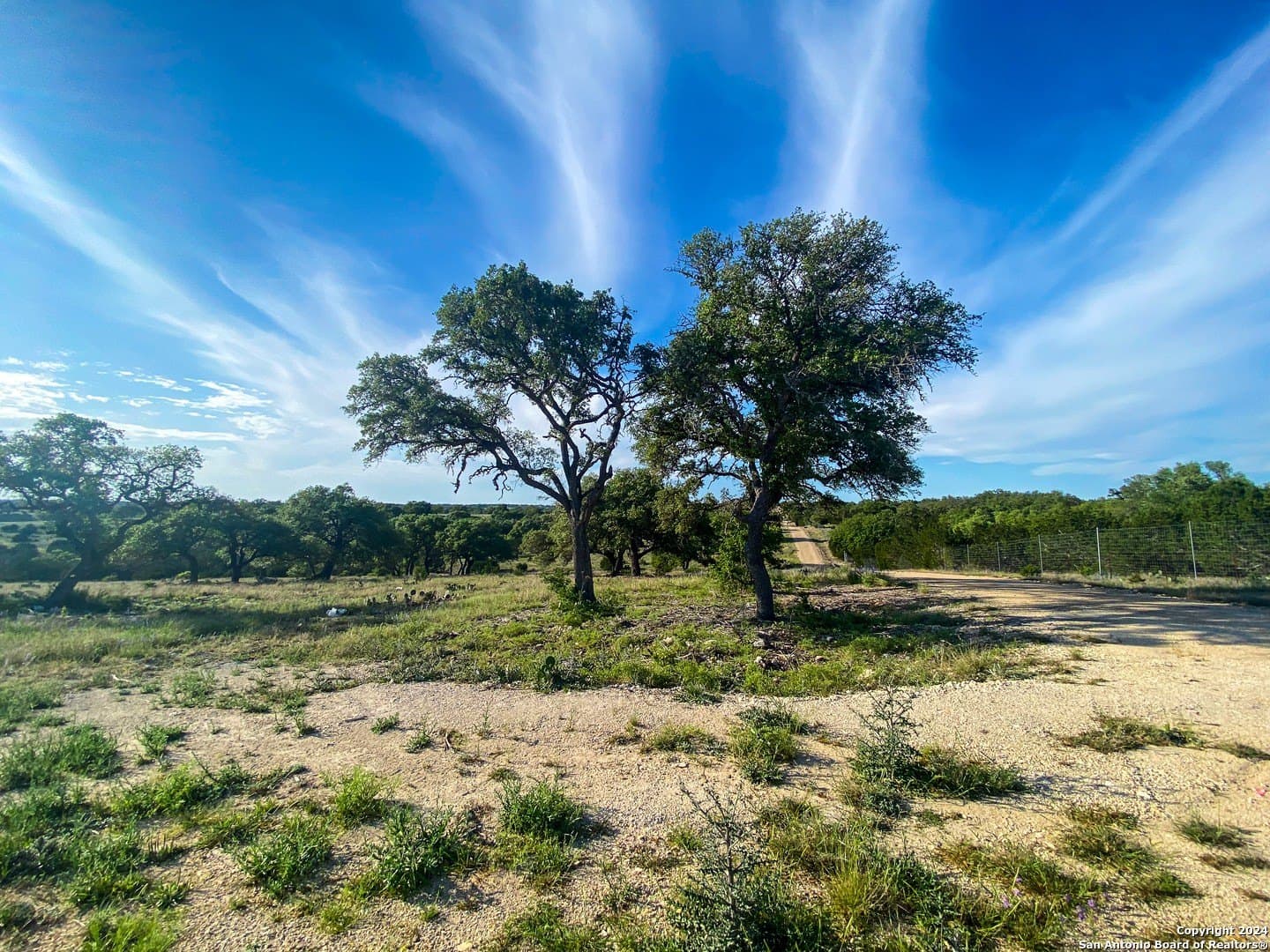 5.4 acres in Gillespie County - photo 6