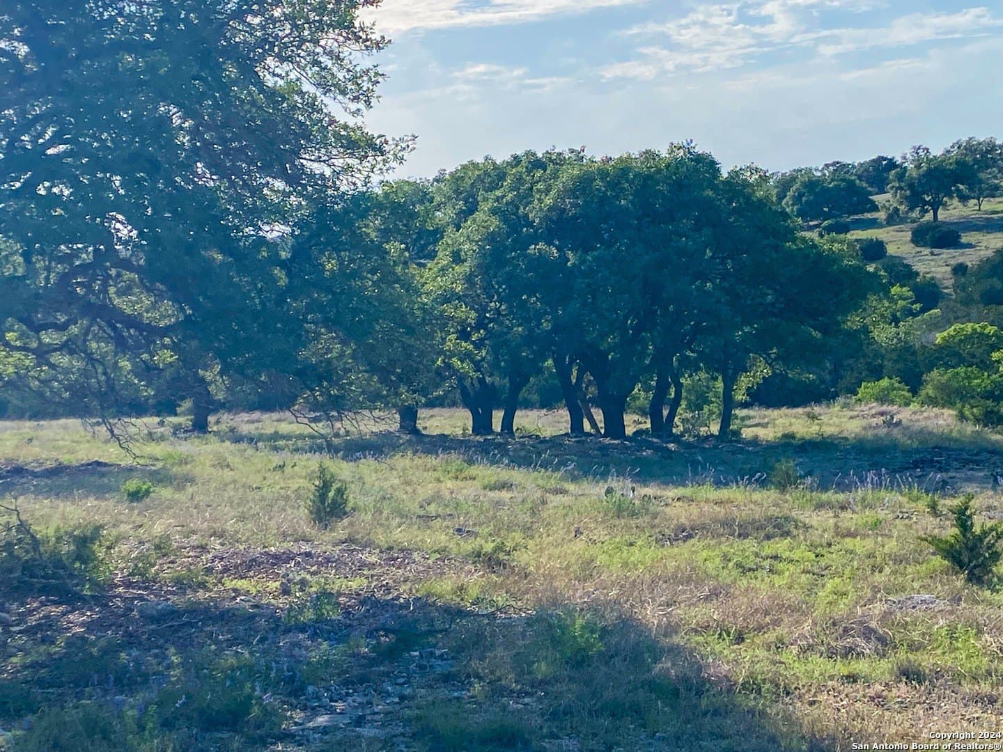5.4 acres in Gillespie County - photo 7
