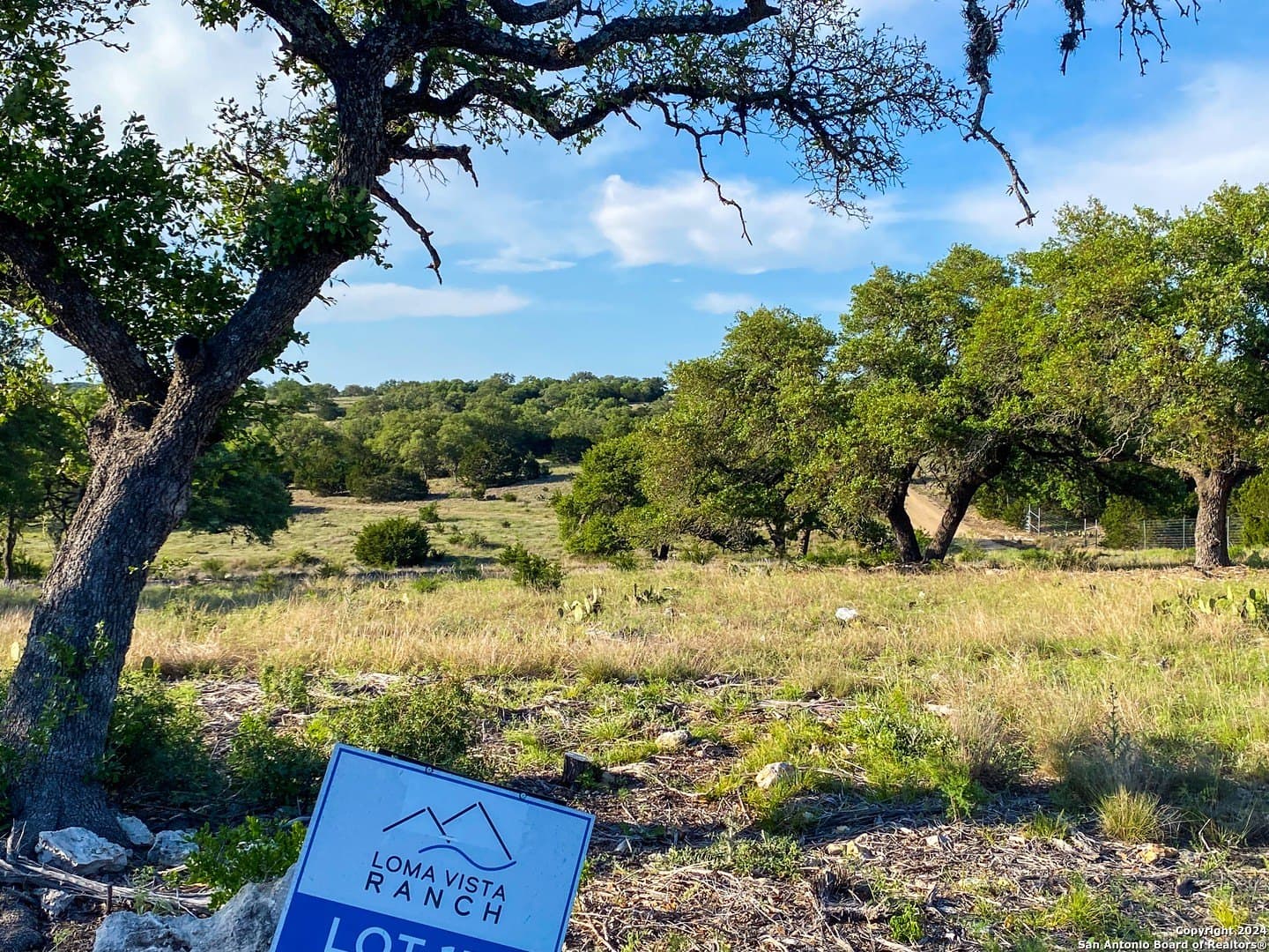 5.4 acres in Gillespie County - photo 13