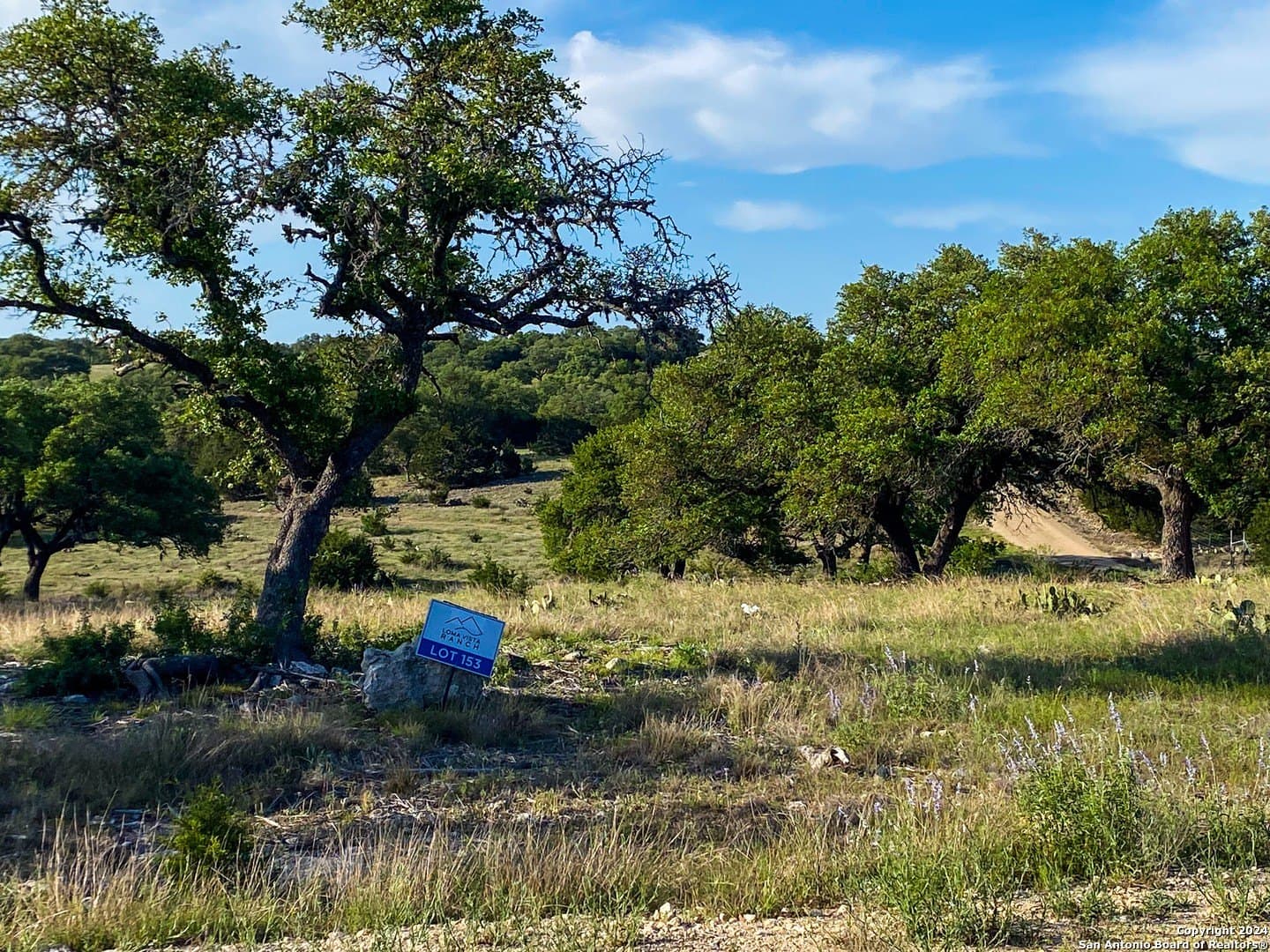 5.4 acres in Gillespie County - photo 9