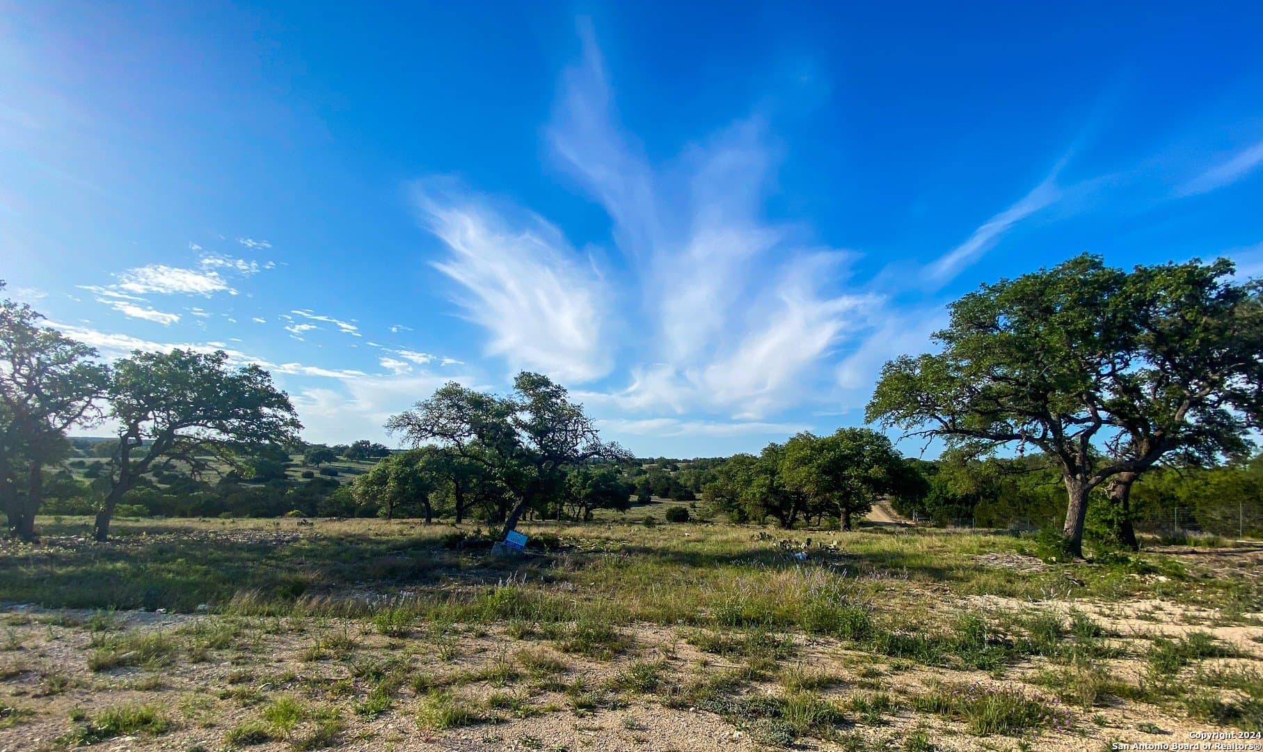 5.4 acres in Gillespie County - photo 16