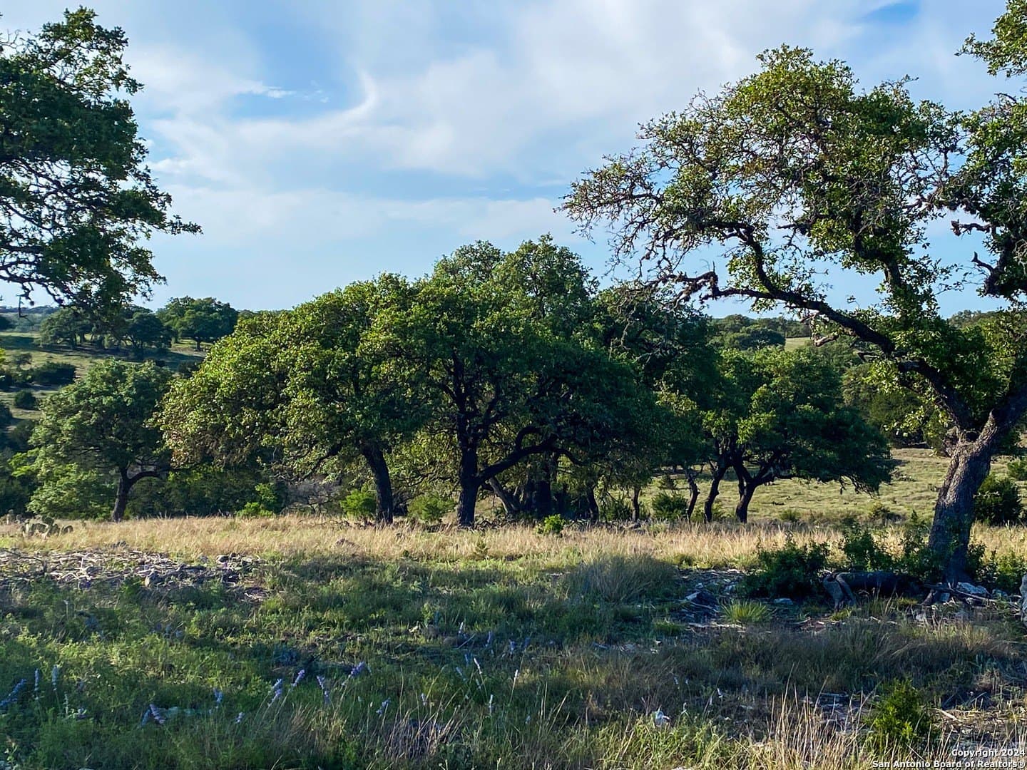 5.4 acres in Gillespie County - photo 8