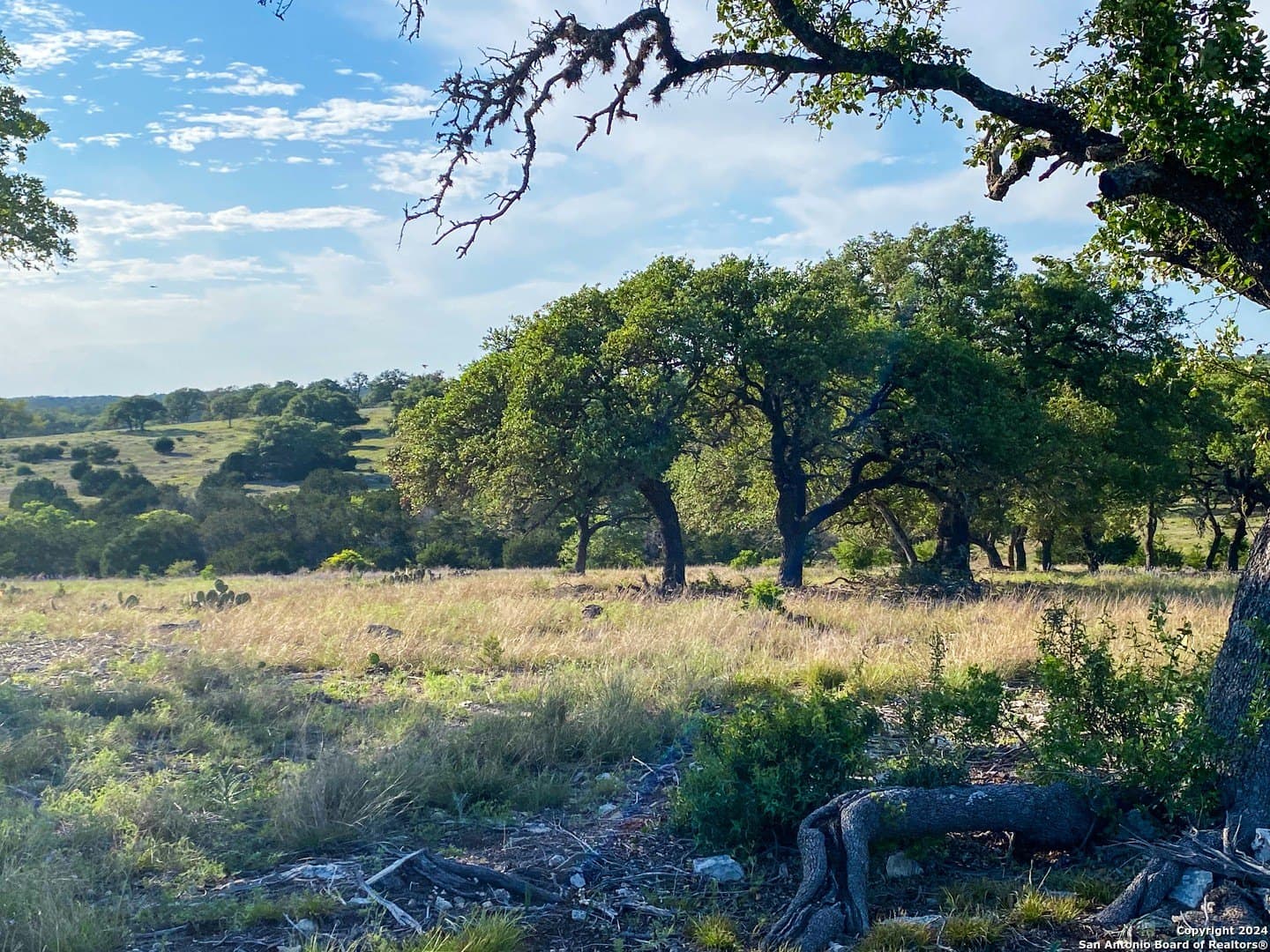 5.4 acres in Gillespie County - photo 12