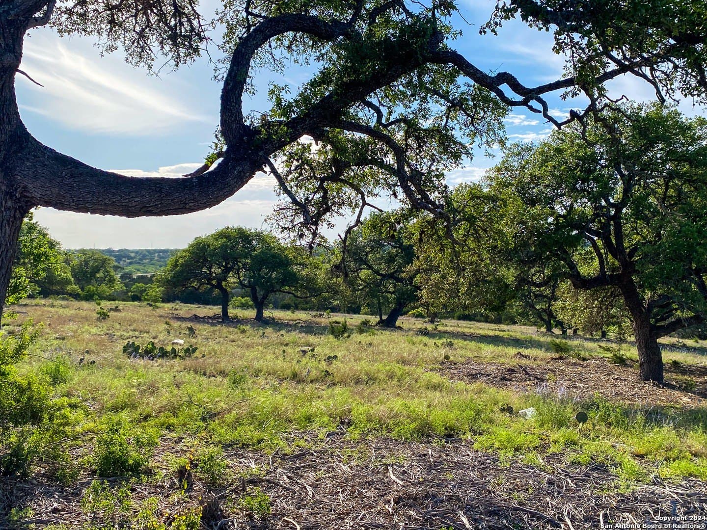 5.4 acres in Gillespie County featured view