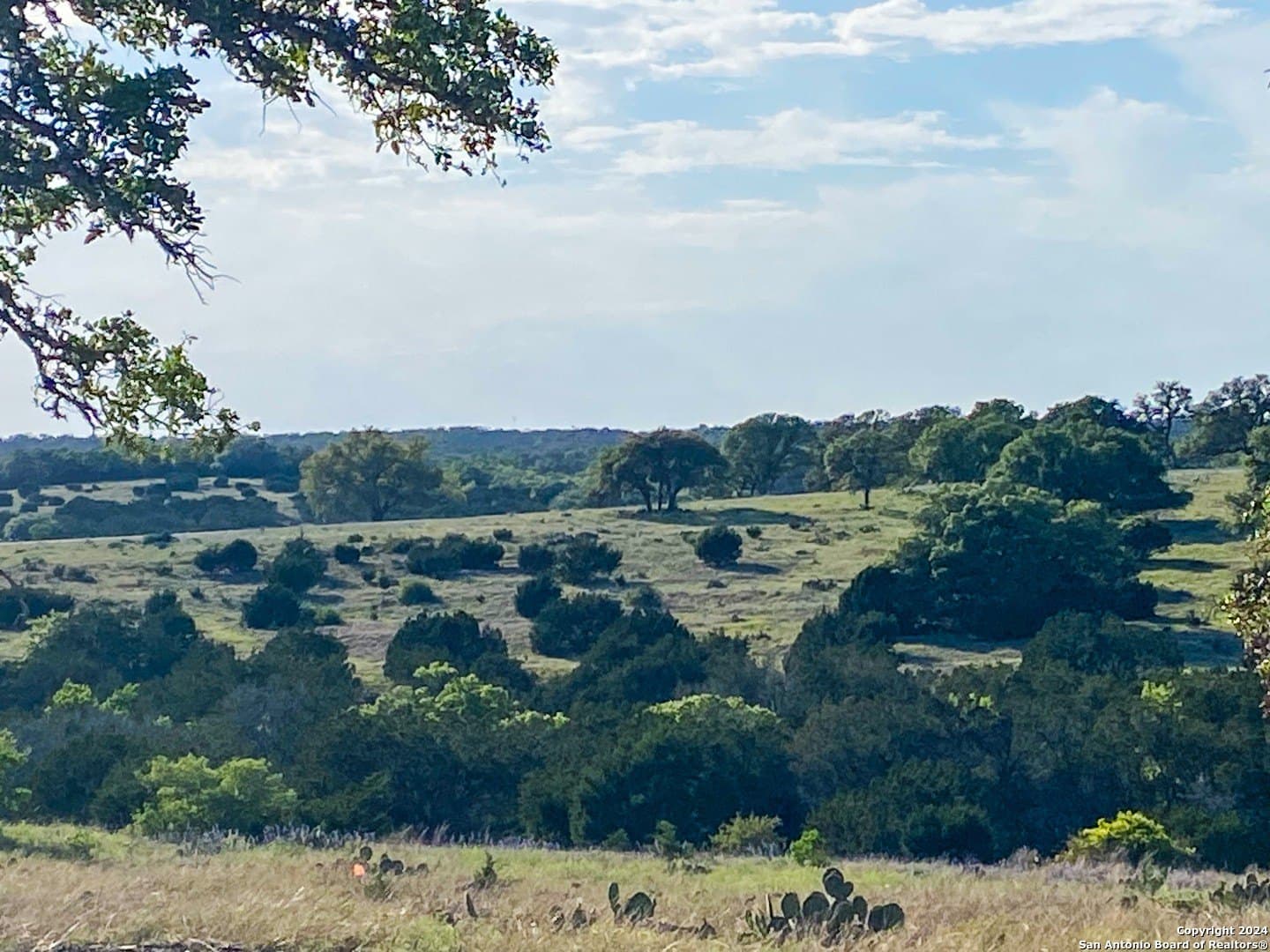 5.4 acres in Gillespie County - photo 11