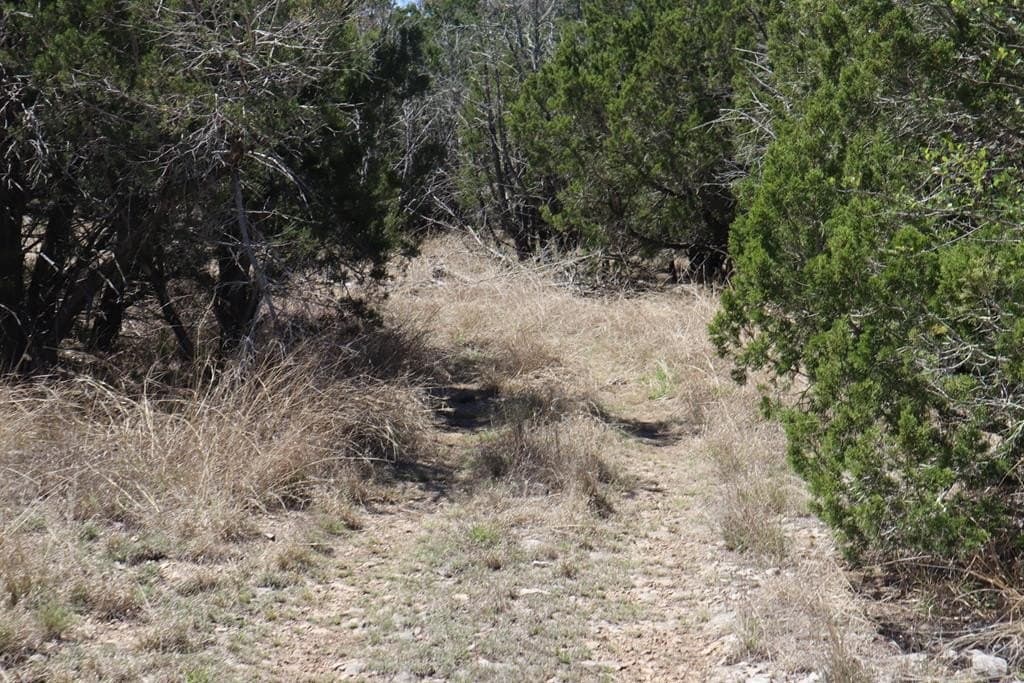20.33 acres in Real County - photo 30