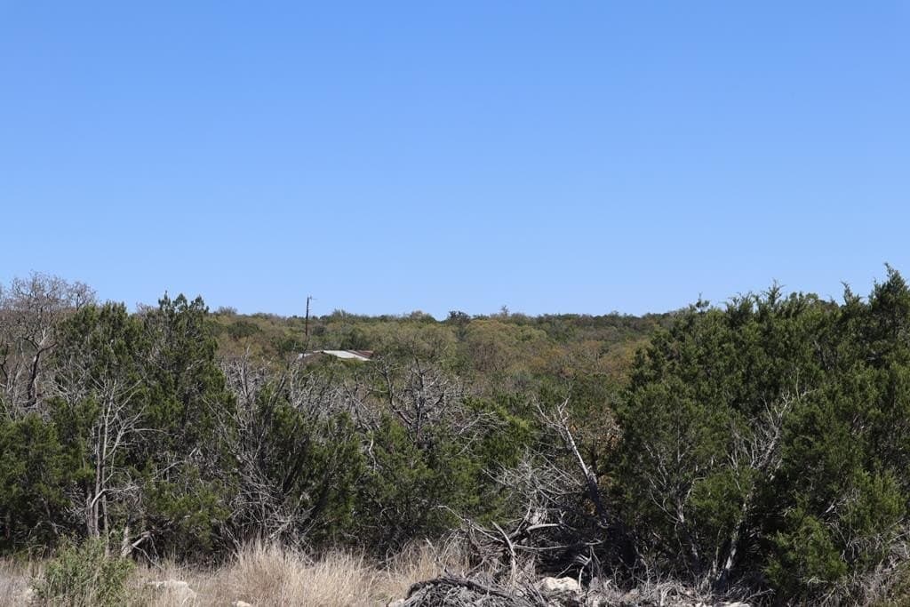 20.33 acres in Real County - photo 38