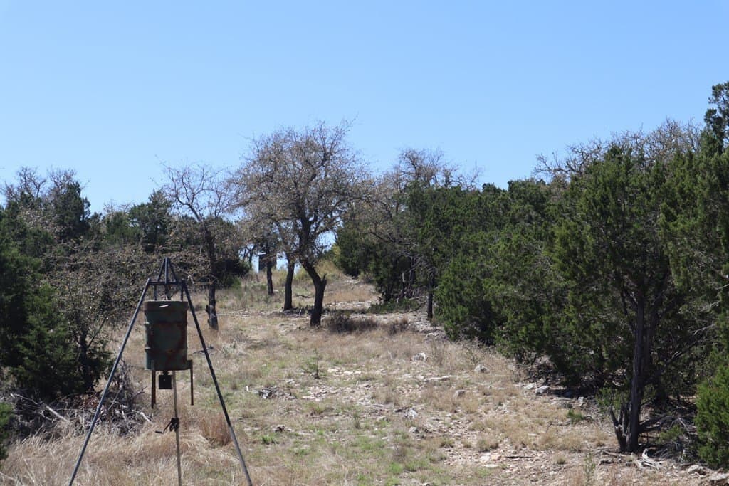 20.33 acres in Real County - photo 10