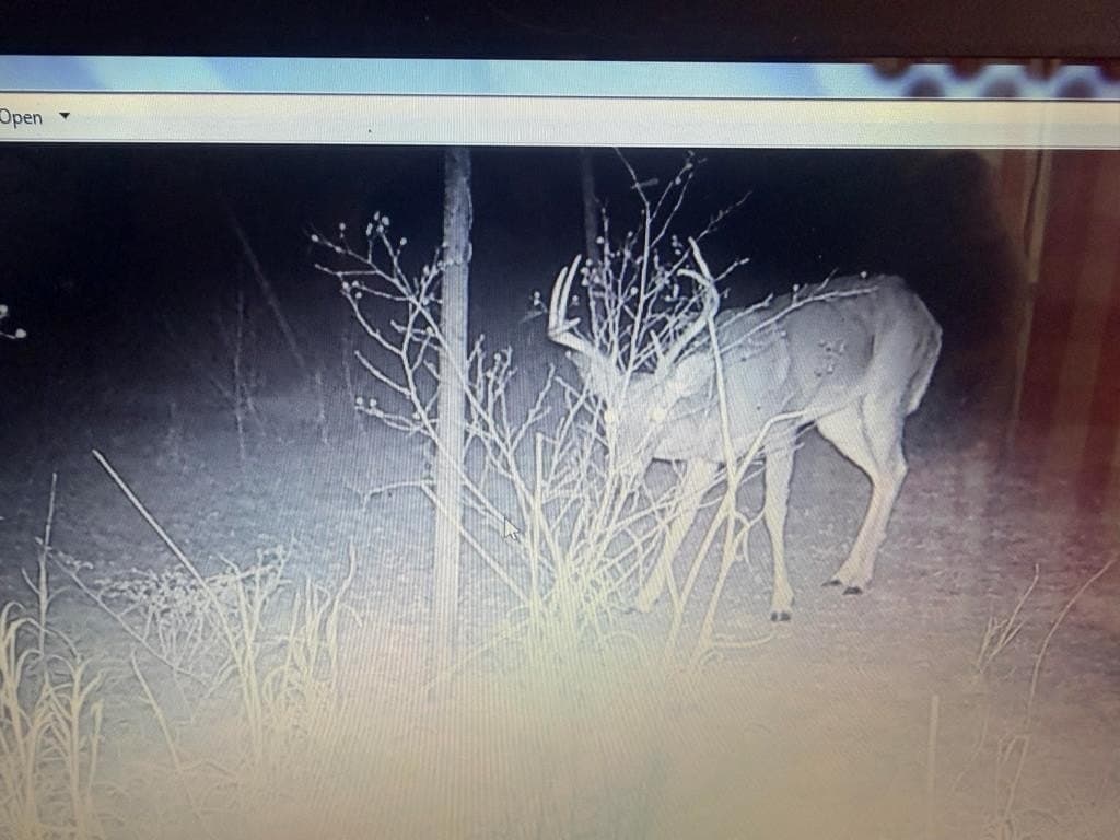20.33 acres in Real County - photo 48