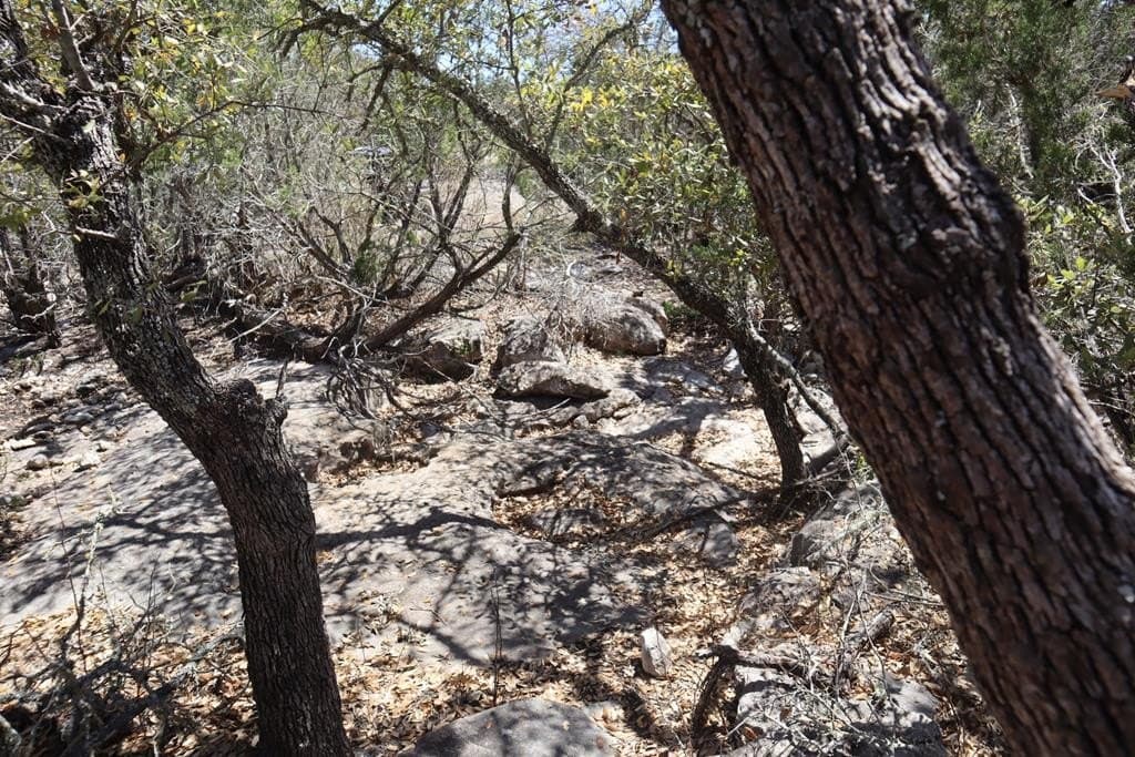 20.33 acres in Real County - photo 41