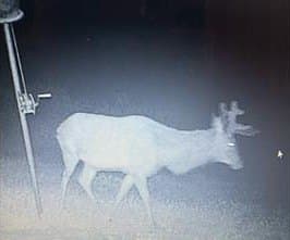 20.33 acres in Real County - photo 52