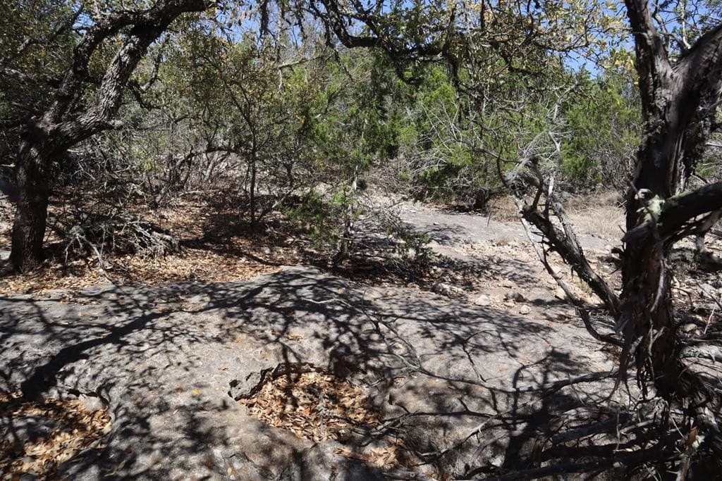 20.33 acres in Real County - photo 40
