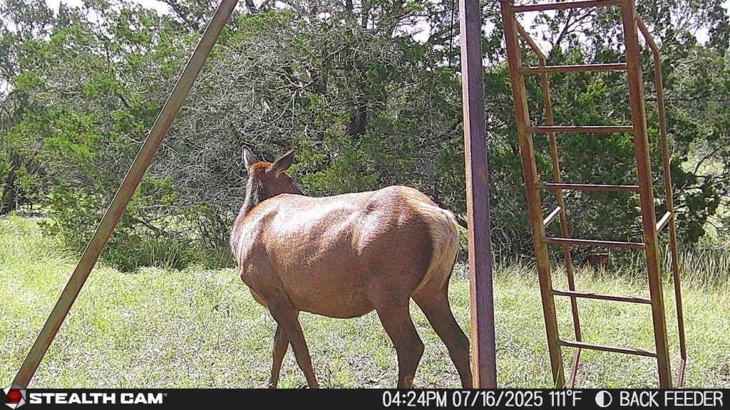 20.33 acres in Real County - photo 5