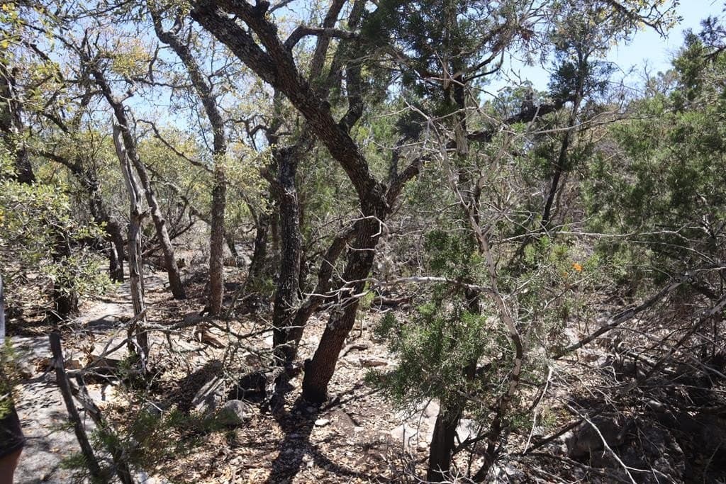 20.33 acres in Real County - photo 42