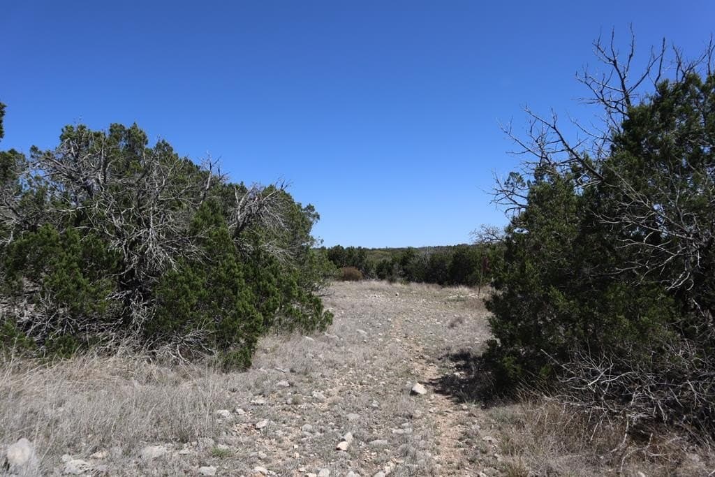 20.33 acres in Real County - photo 34