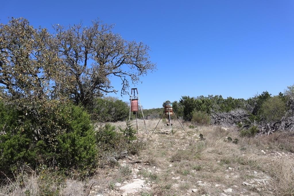 20.33 acres in Real County - photo 4