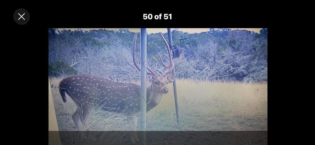 20.33 acres in Real County - photo 2