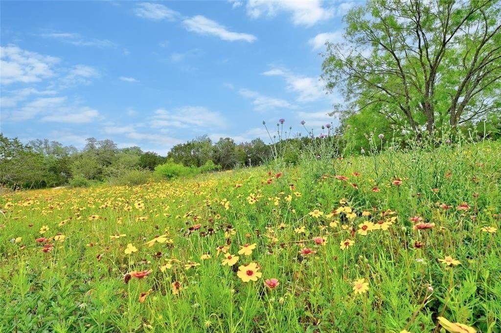 1.55 acres in Burnet County - photo 17