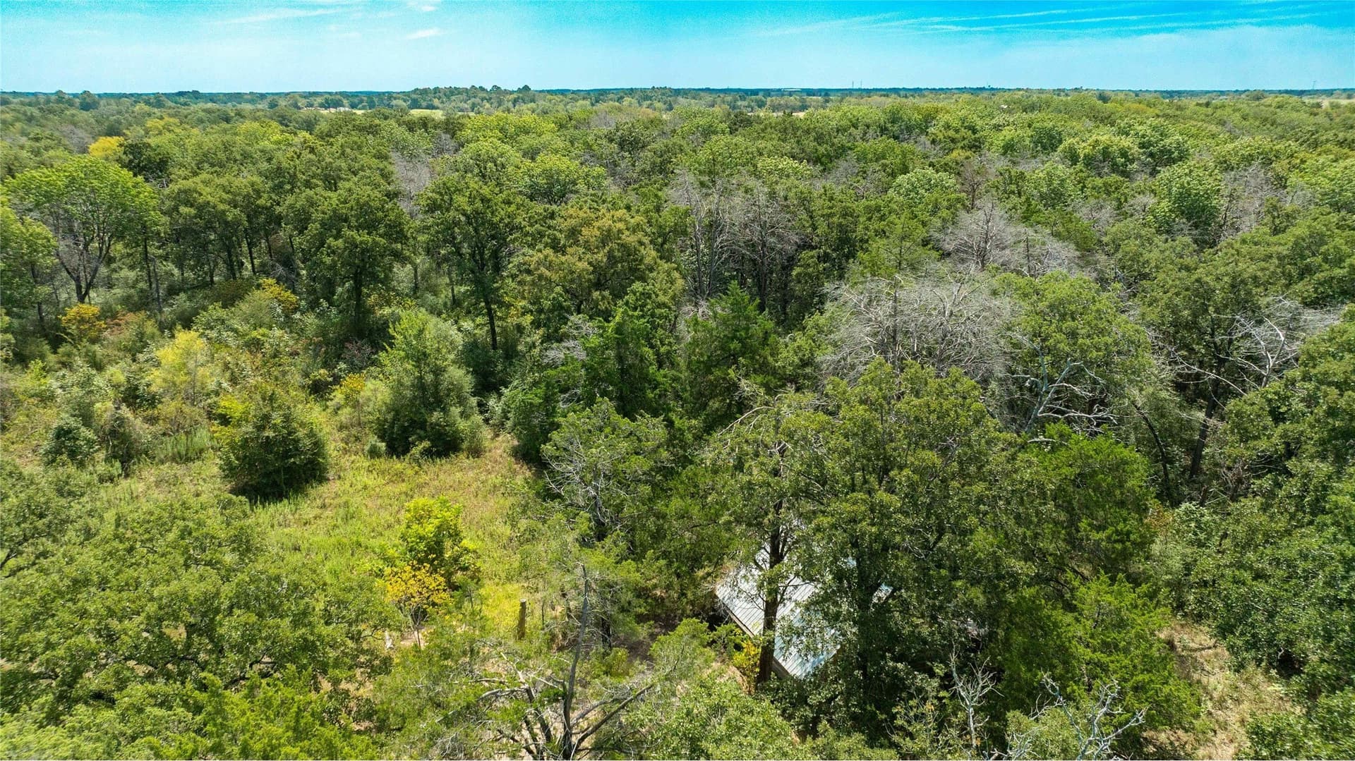 12 acres in Freestone County - photo 35