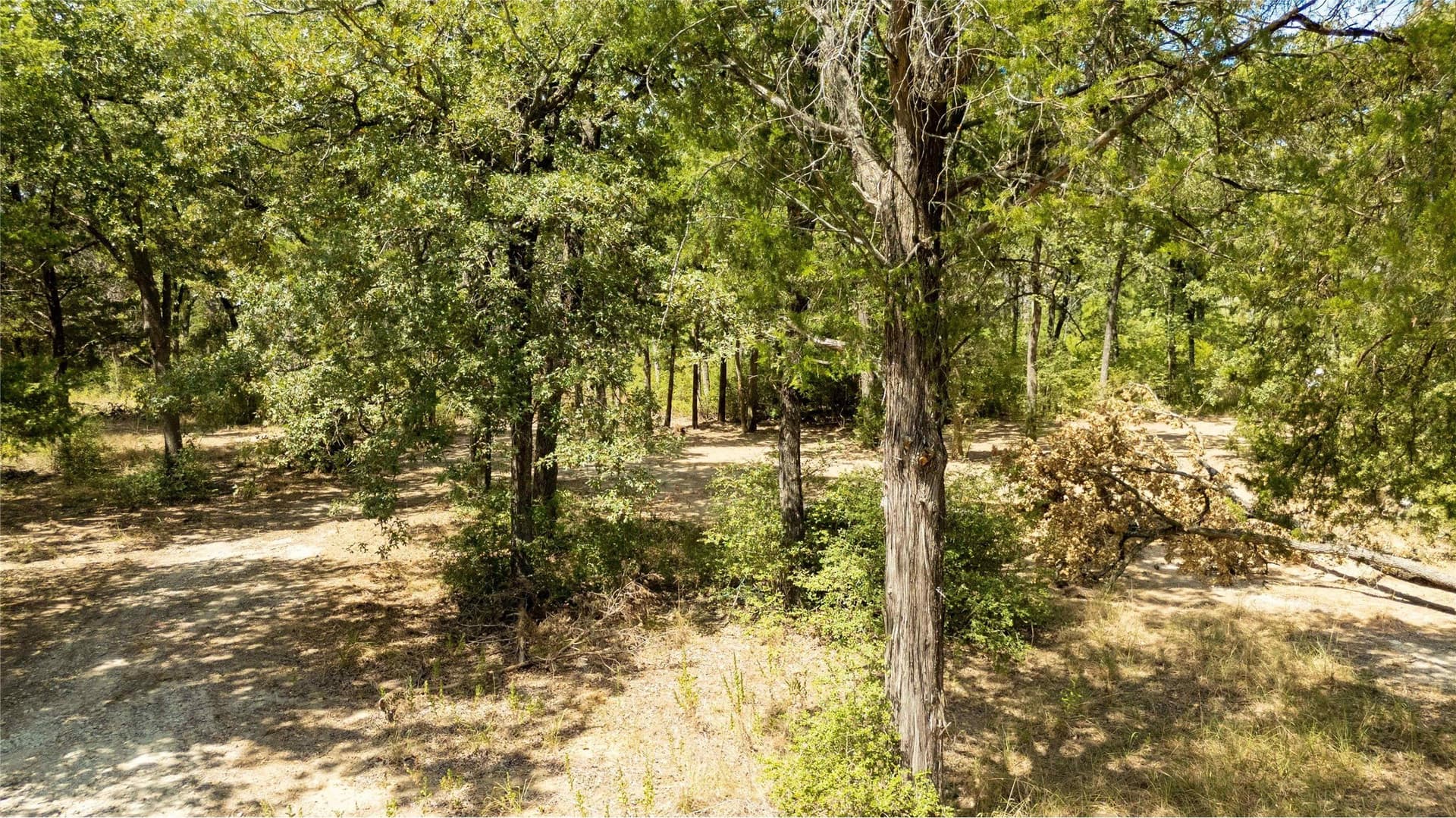 12 acres in Freestone County - photo 33