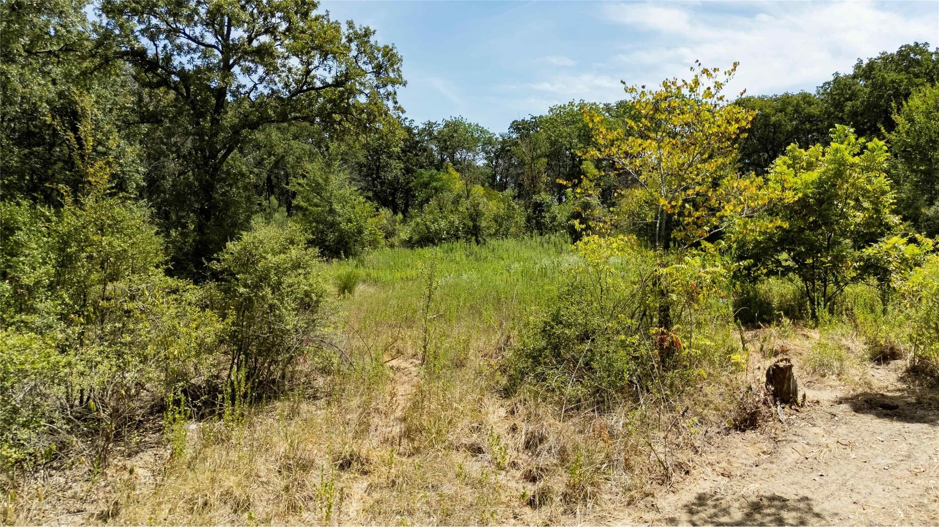 12 acres in Freestone County - photo 37