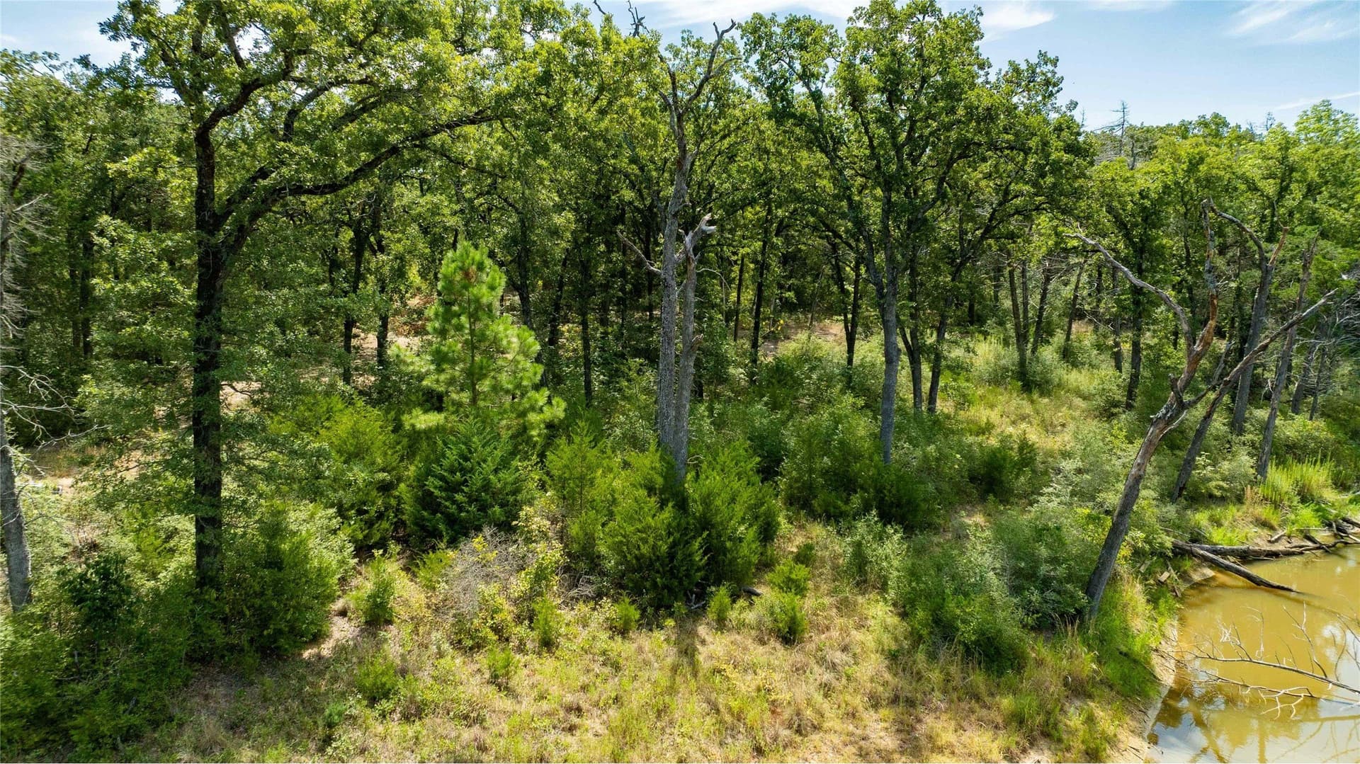 12 acres in Freestone County - photo 32