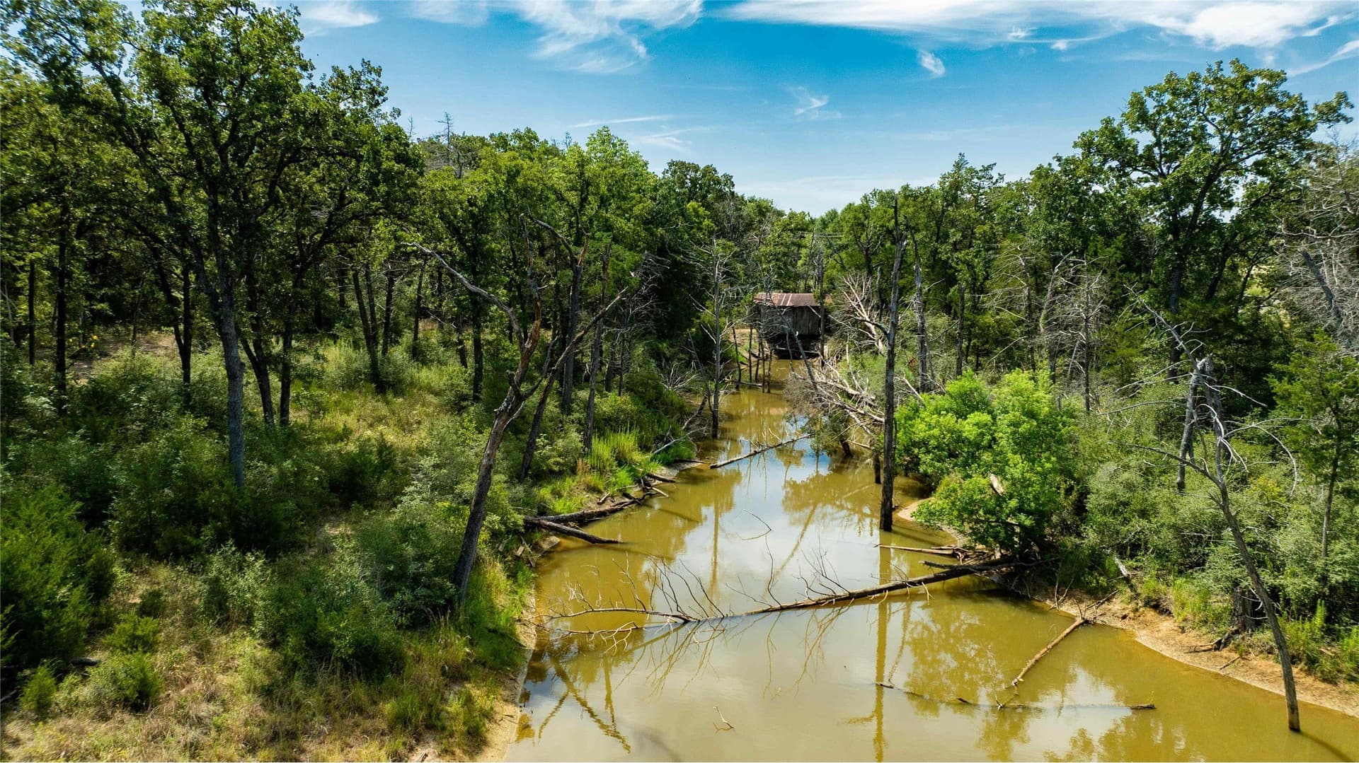 12 acres in Freestone County - photo 31