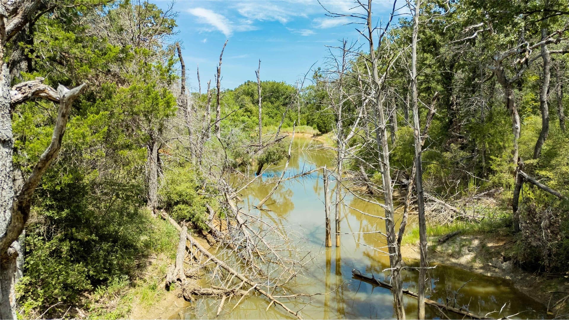 12 acres in Freestone County - photo 29