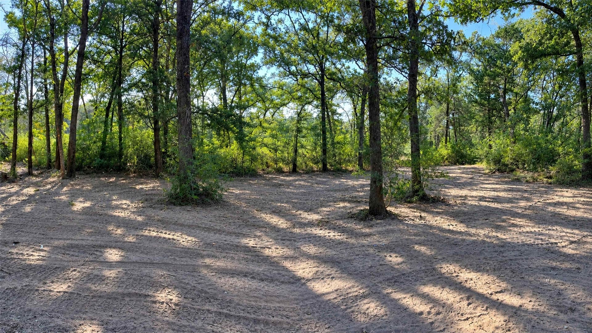 12 acres in Freestone County - photo 36