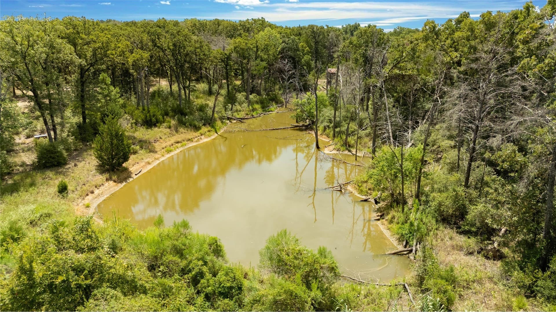 12 acres in Freestone County - photo 5
