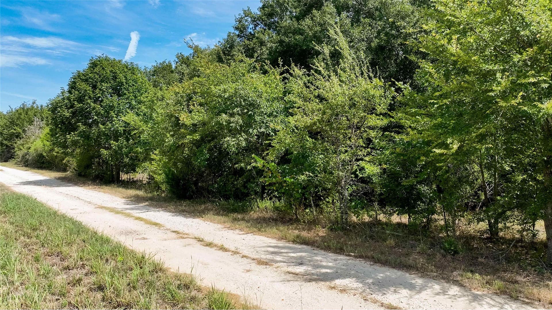 12 acres in Freestone County - photo 17