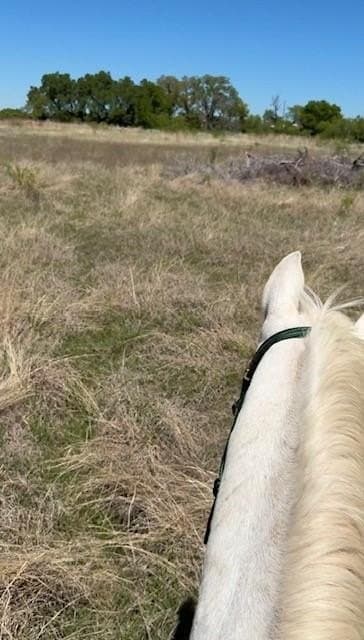 10.12 acres in Erath County gallery image 4