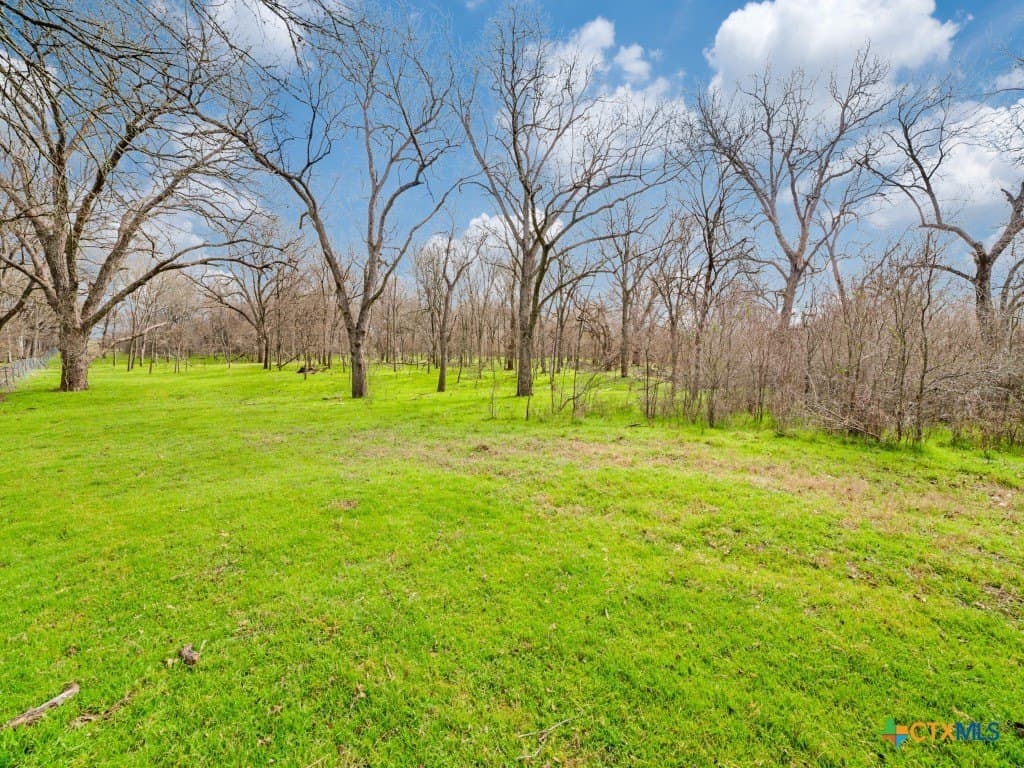 109.16 acres in Guadalupe County featured view