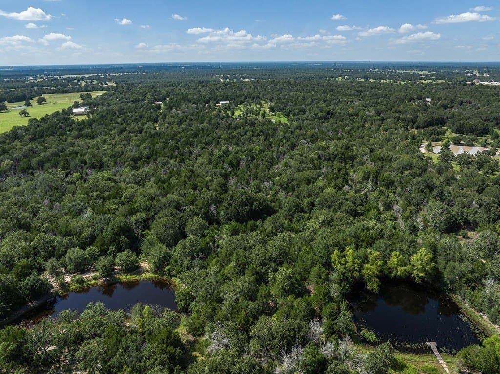 21.44 acres in Washington County - photo 23