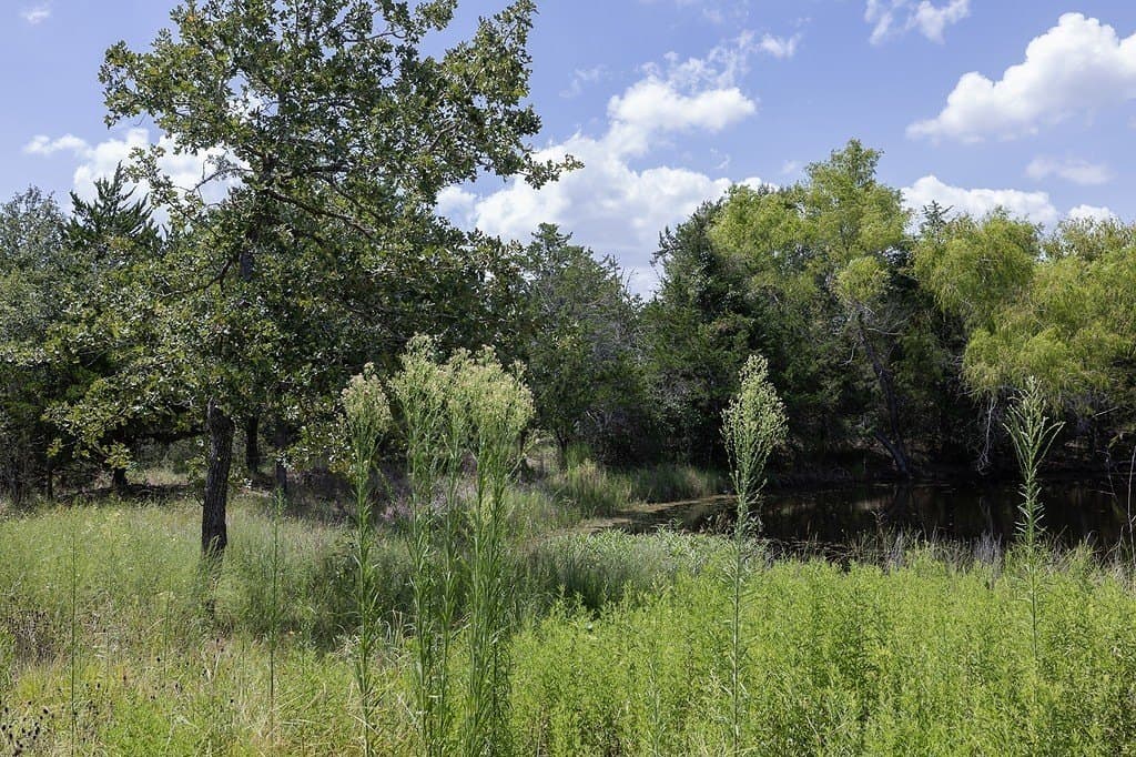 21.44 acres in Washington County - photo 19