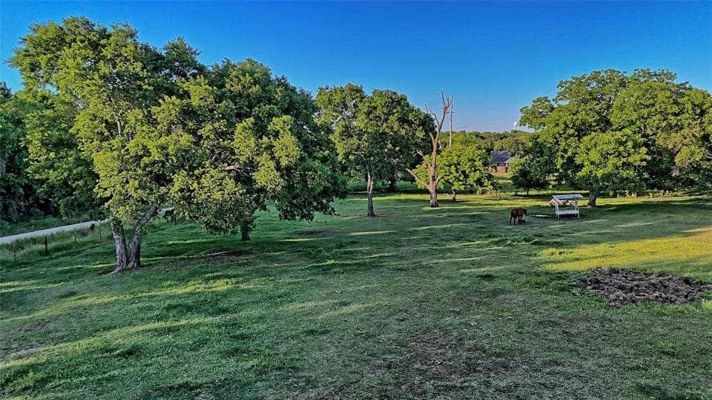 1.52 acres in Montague County gallery image 4
