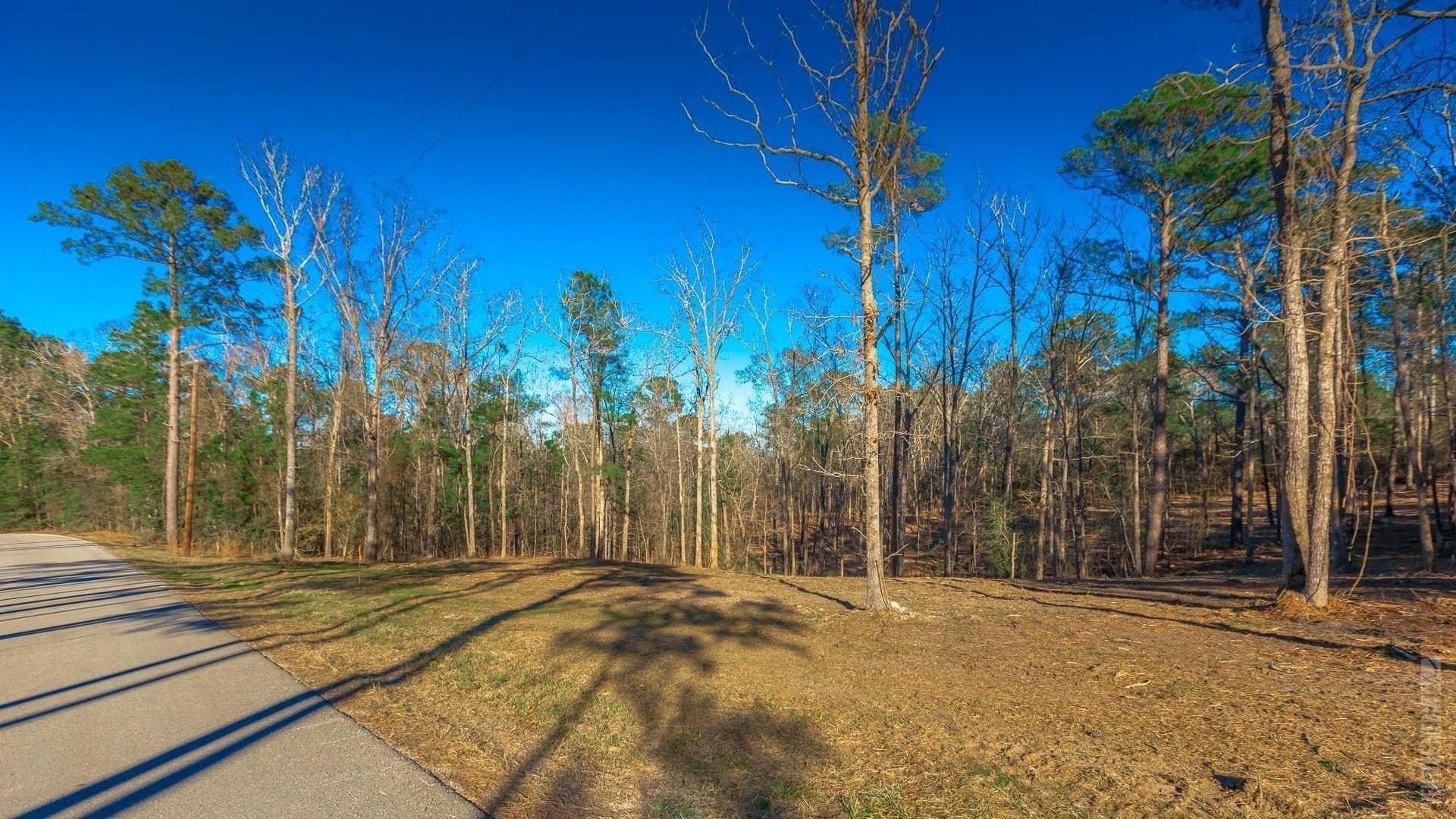 0.5 acres in Texas County - photo 6