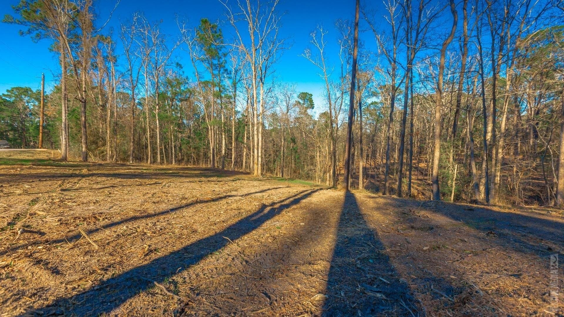 0.5 acres in Texas County - photo 8