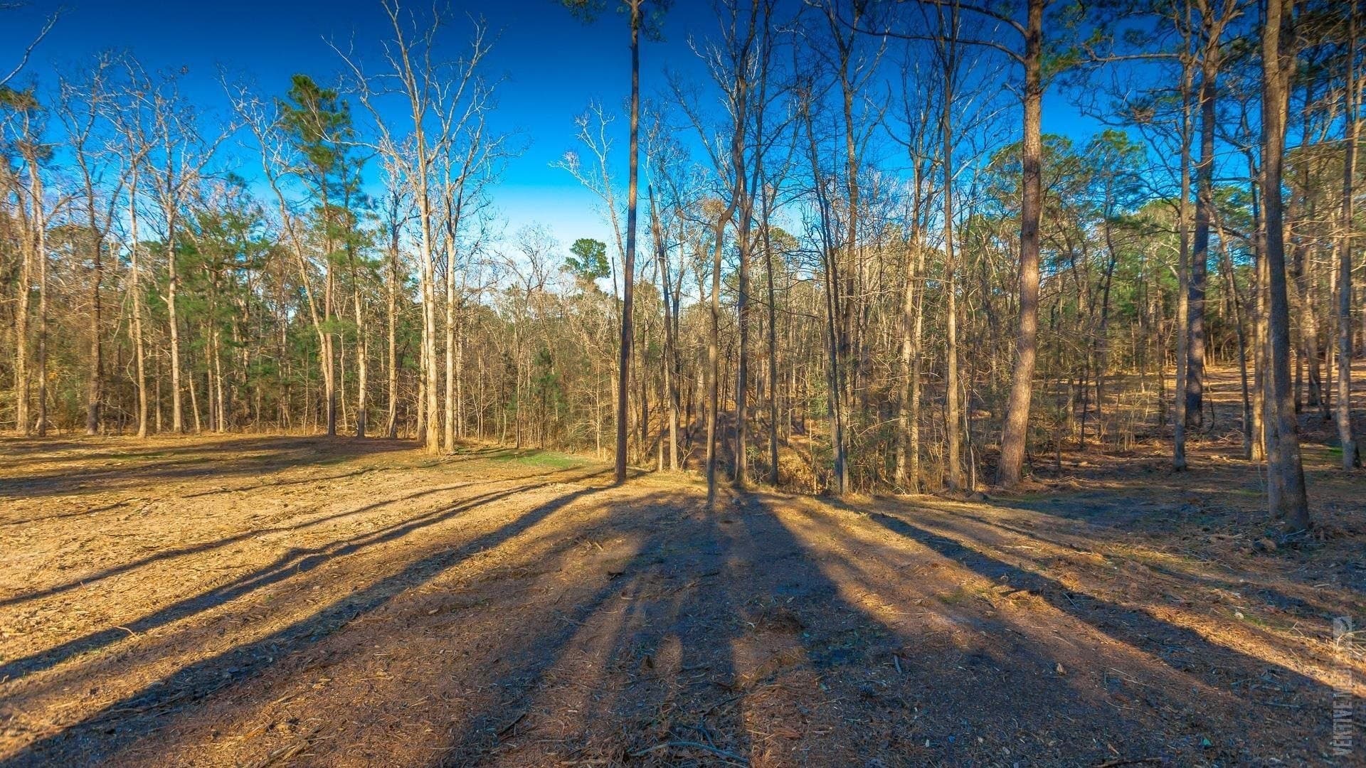 0.5 acres in Texas County - photo 7