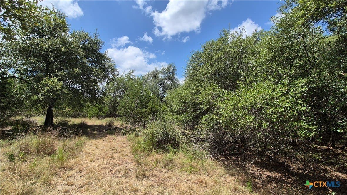 1 acres in Comal County - photo 7