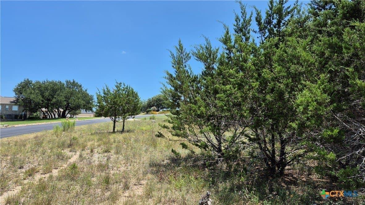 1 acres in Comal County - photo 10