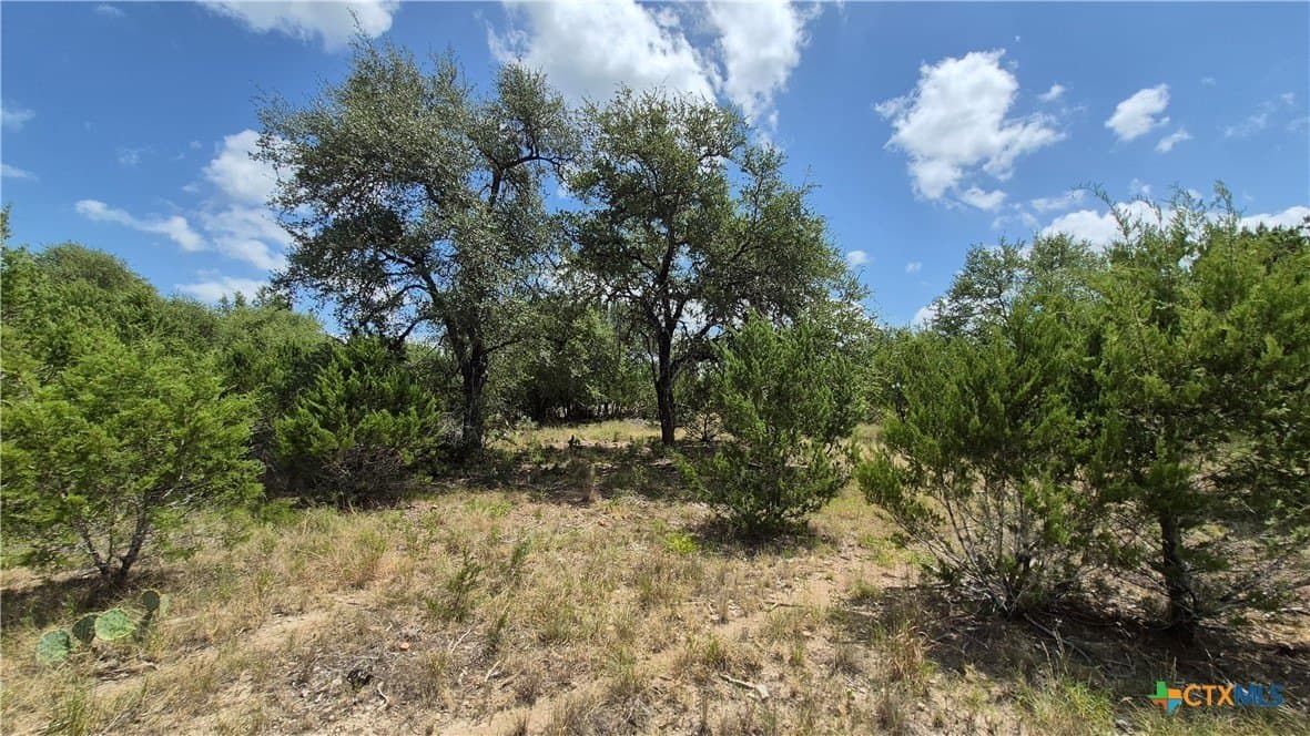 1 acres in Comal County - photo 6