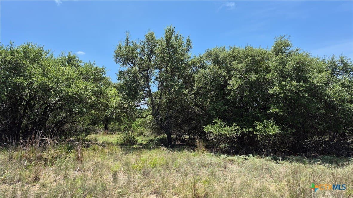 1 acres in Comal County - photo 9