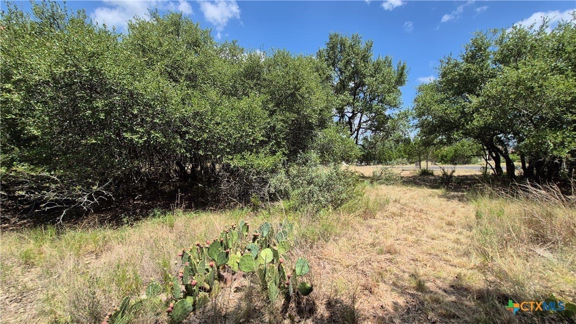 1 acres in Comal County - photo 8