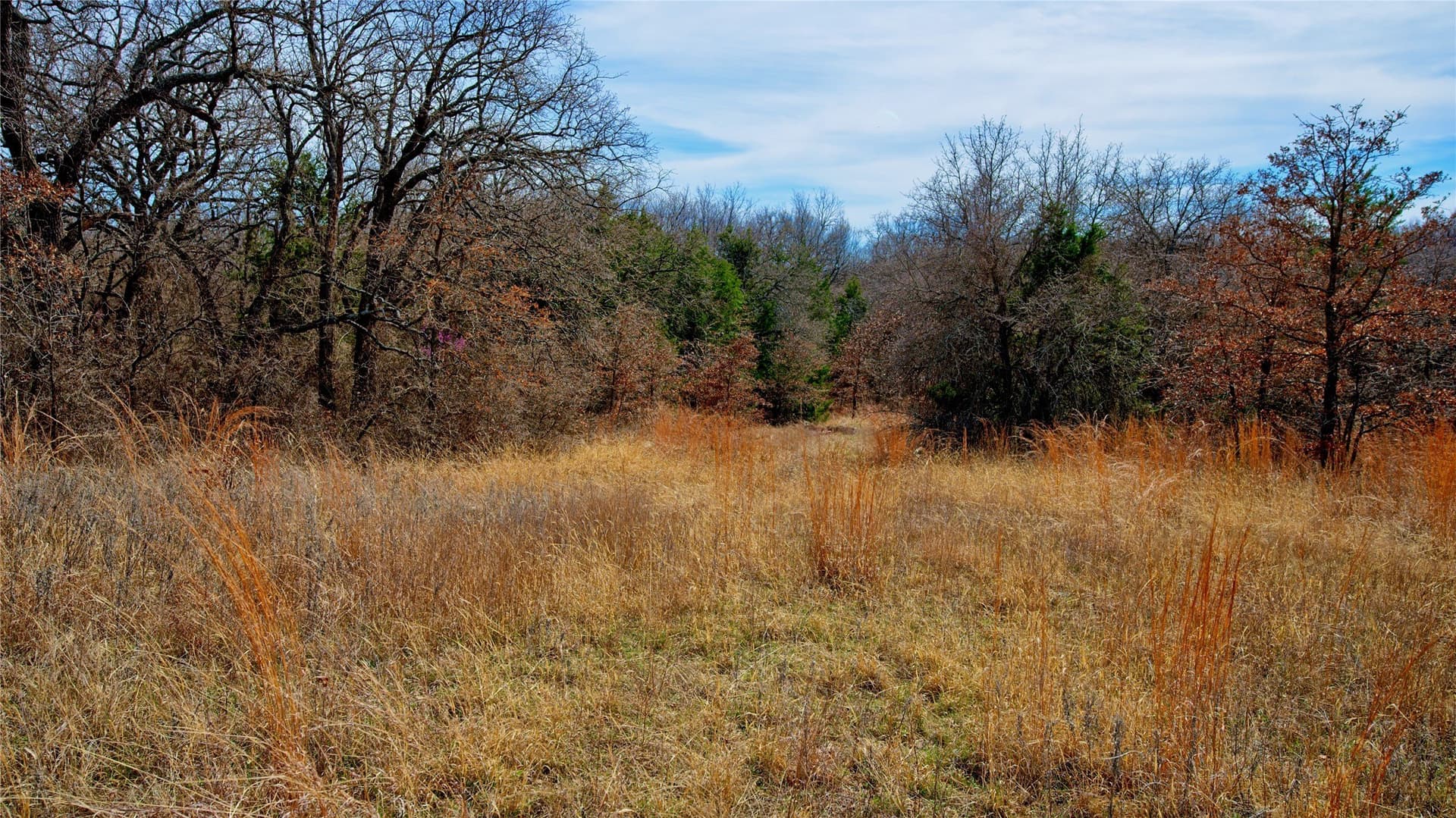 2.64 acres in Montague County - photo 19