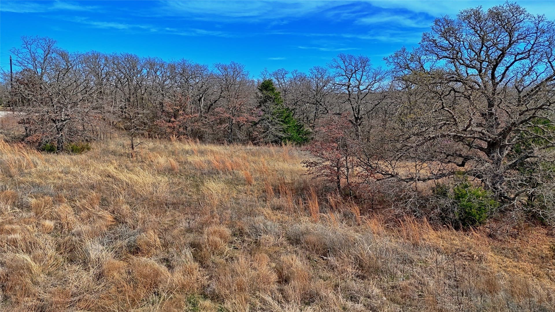 2.64 acres in Montague County - photo 23