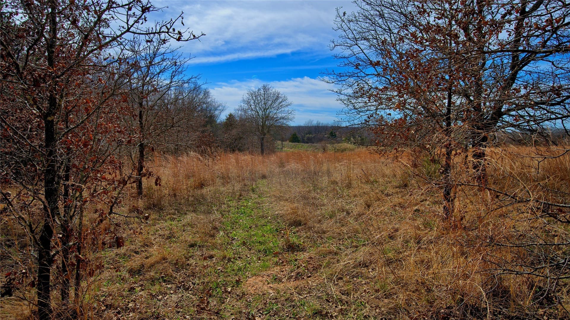 2.64 acres in Montague County