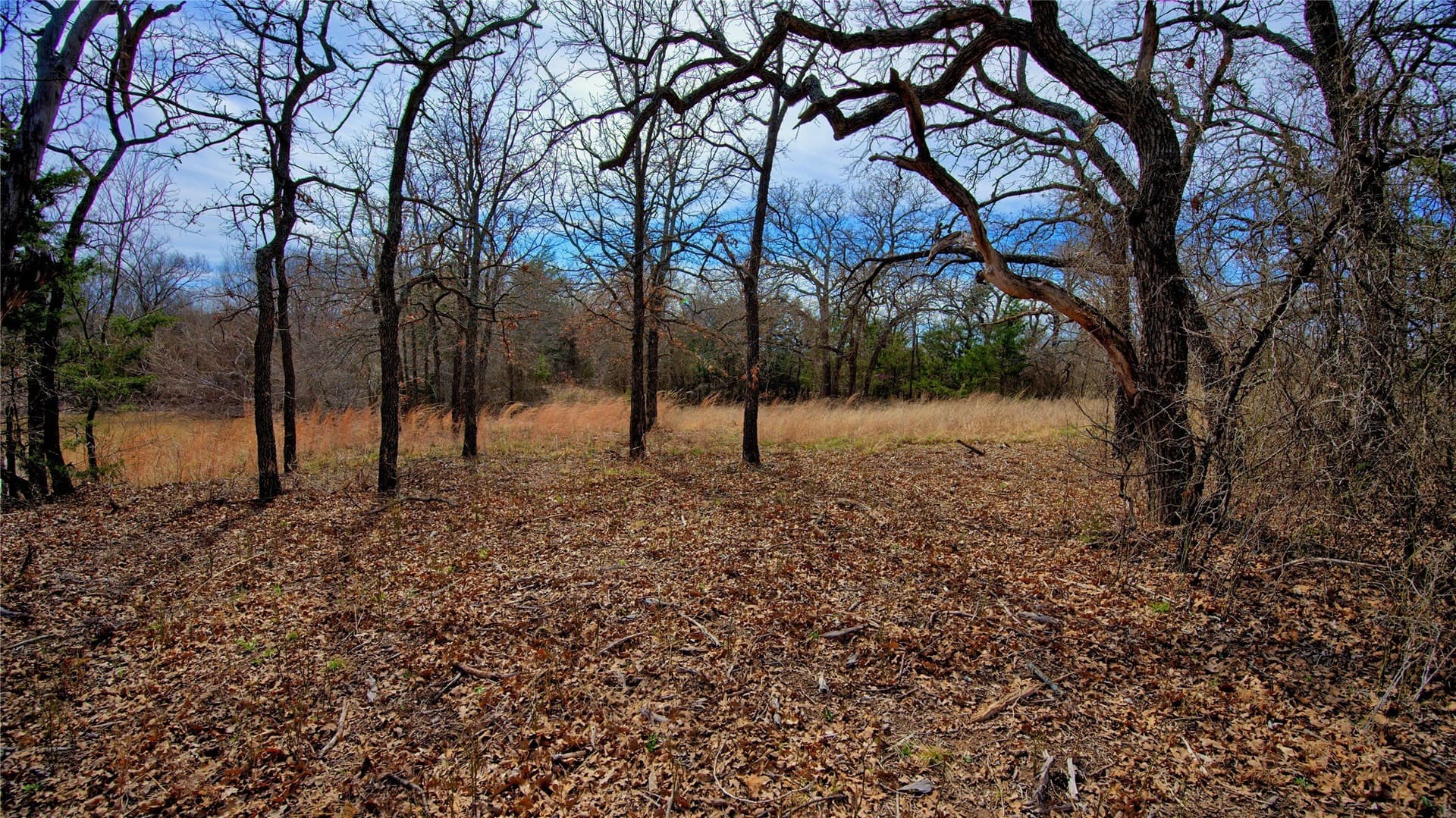 2.64 acres in Montague County - photo 5