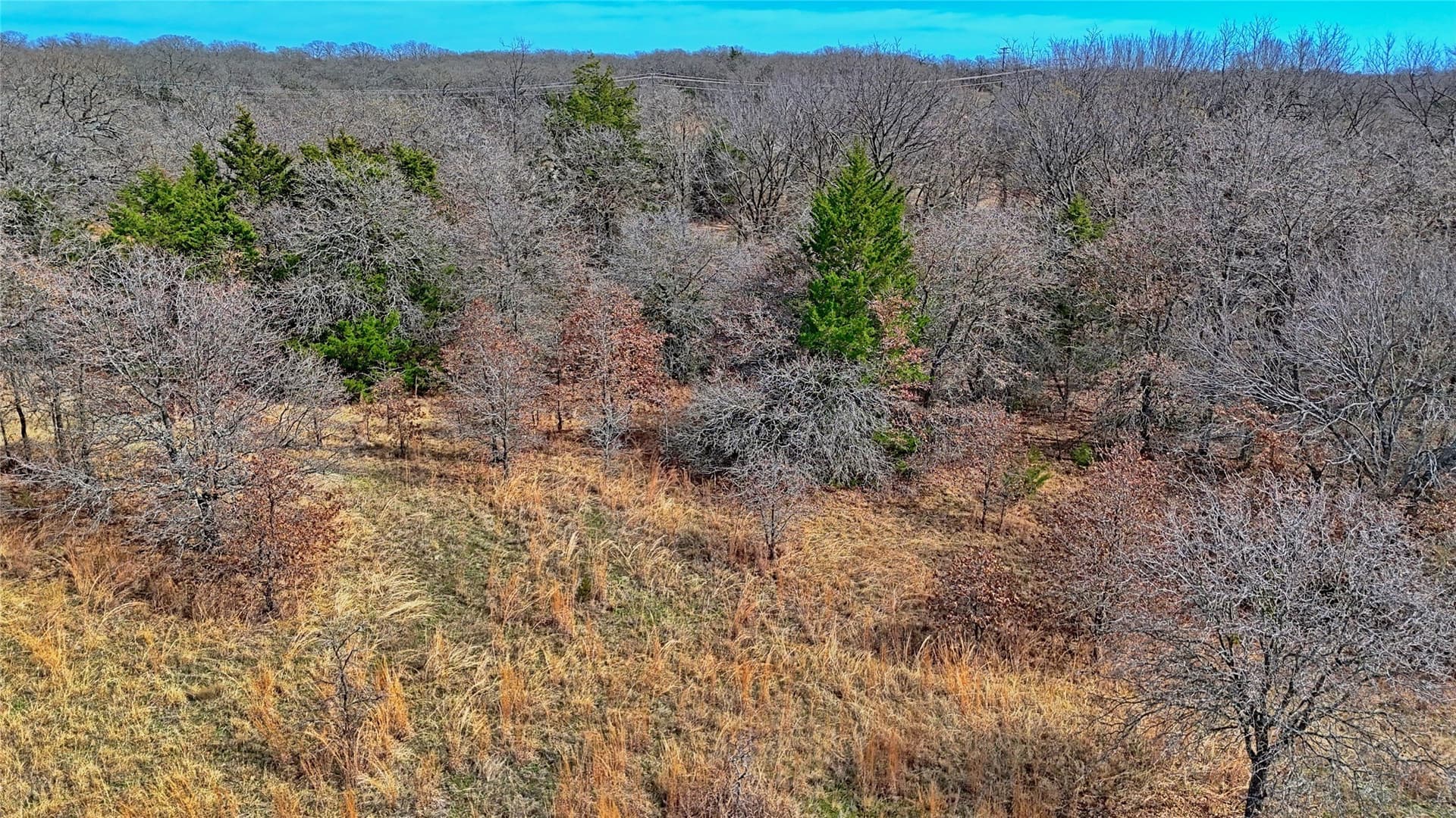 2.64 acres in Montague County - photo 8