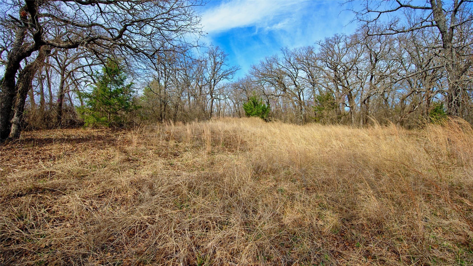 2.64 acres in Montague County - photo 17
